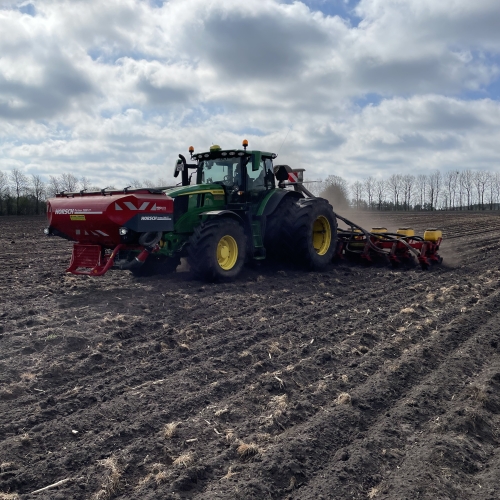 Såning i Ribe udført med traktor og såmaskine på mark