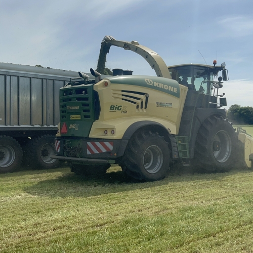 Snitning af græs i Ribe med moderne finsnitter og frakørsel