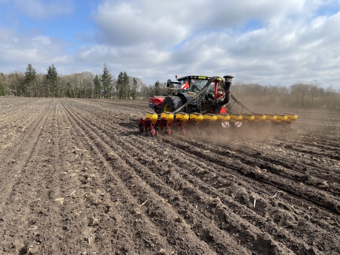 Såning i Ribe med traktor og rød såmaskine på mark