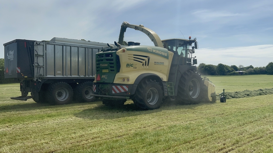 Snitning af græs i Ribe med moderne finsnitter og frakørsel