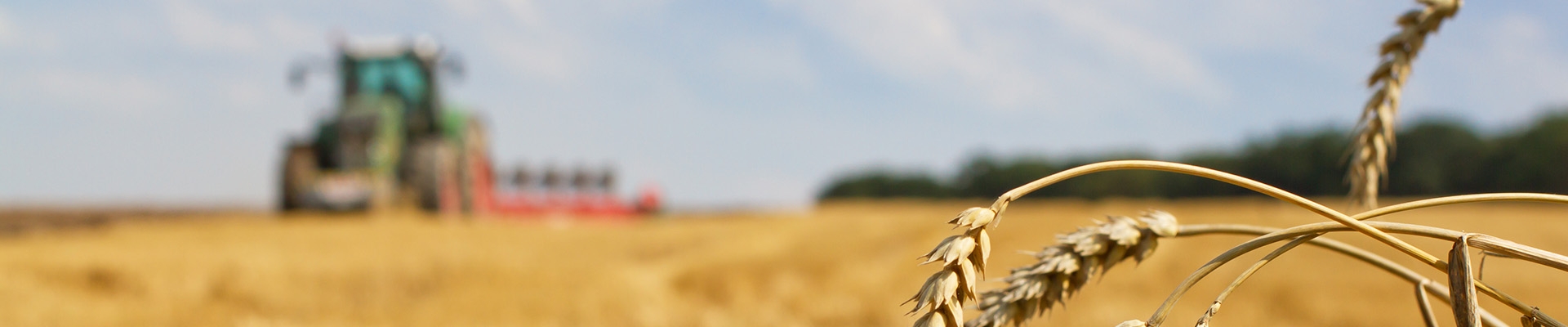 Dræning og andet landbrugsarbejde i Ribe